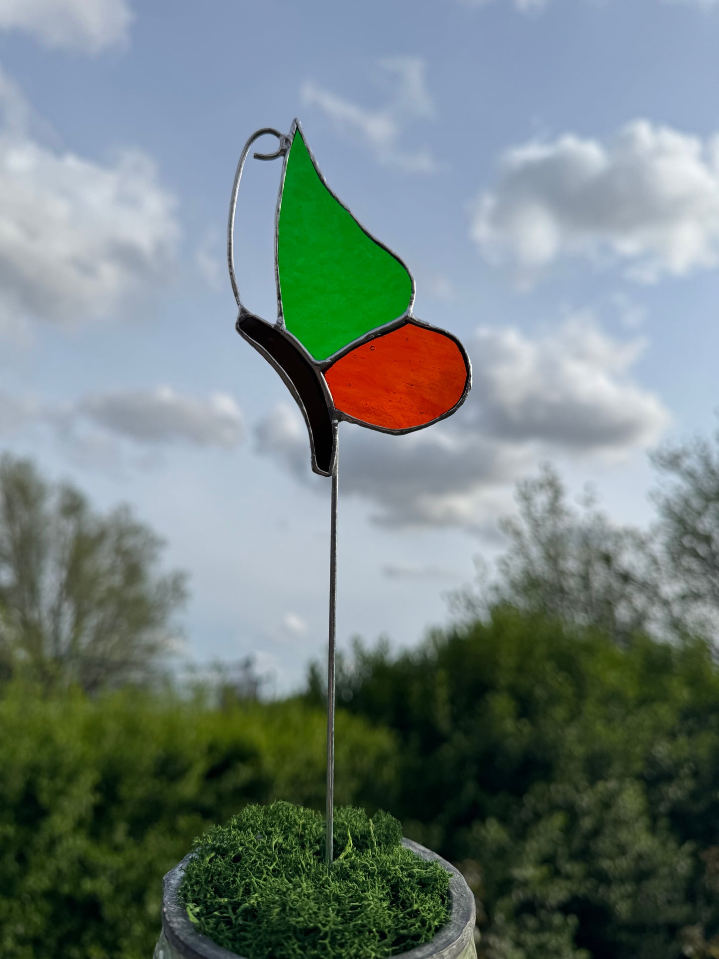 Plantensteker vlinder- verschillende kleuren