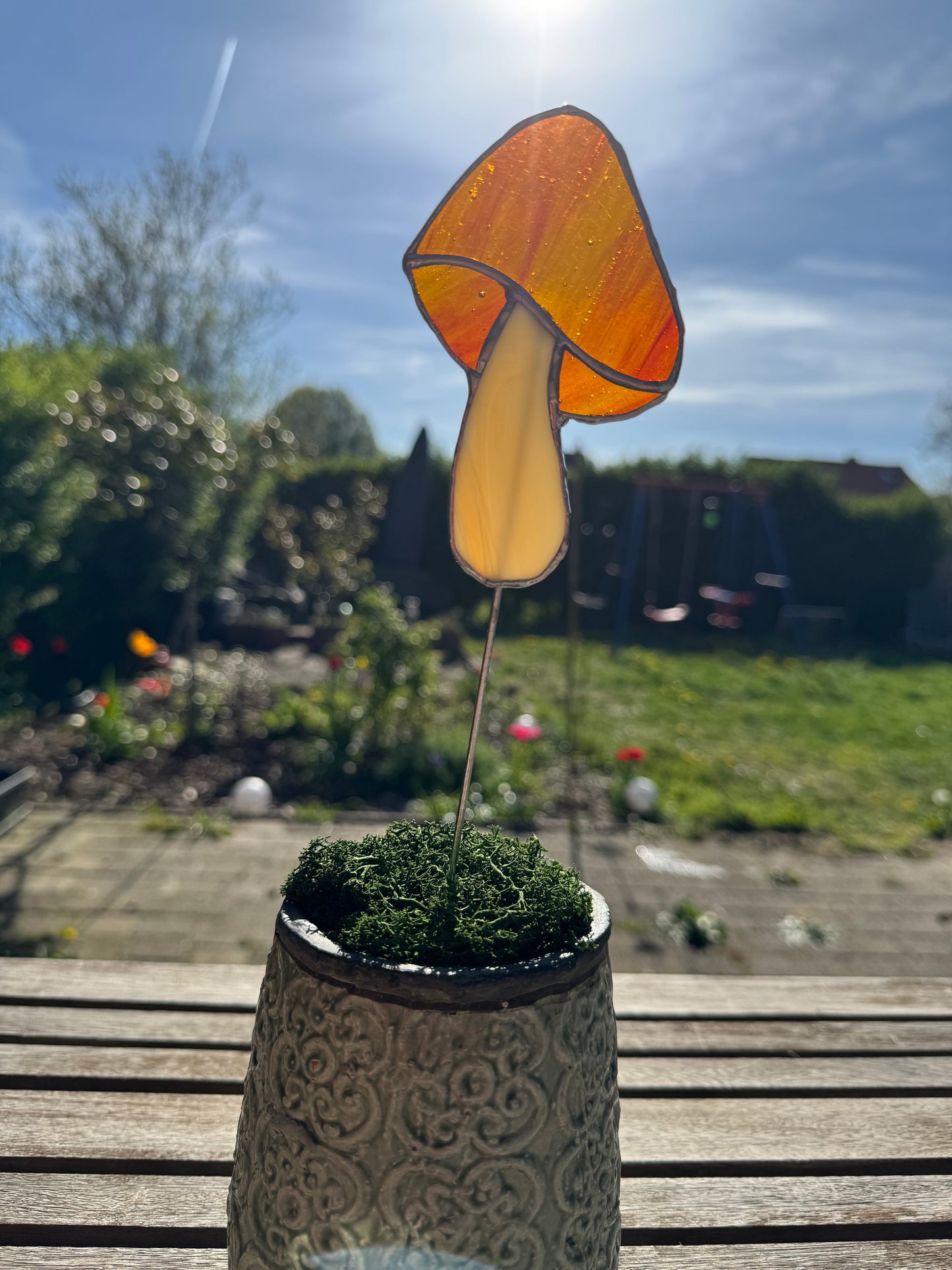 Plantensteker paddenstoel - verschillende kleuren