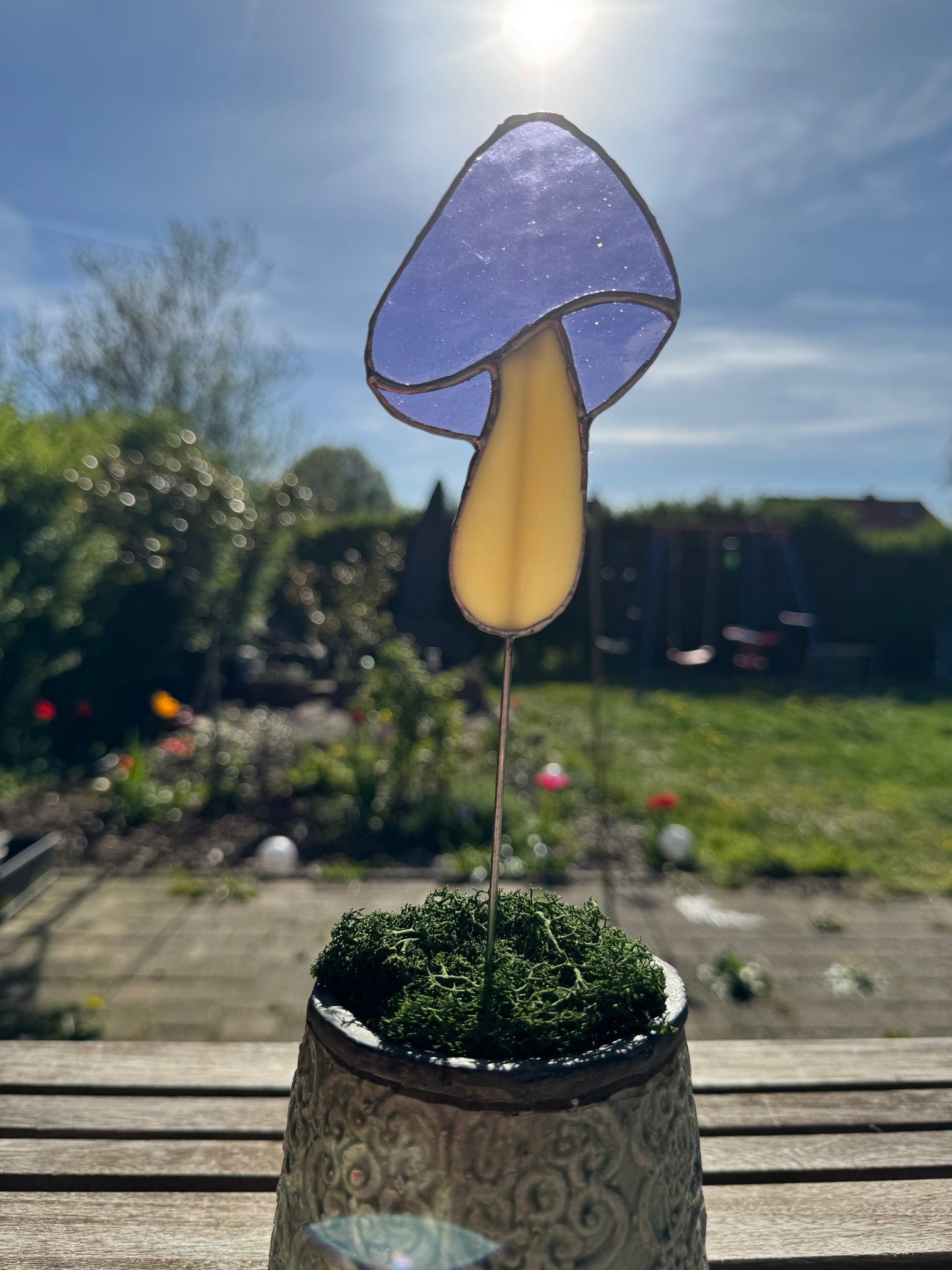 Plantensteker paddenstoel - verschillende kleuren