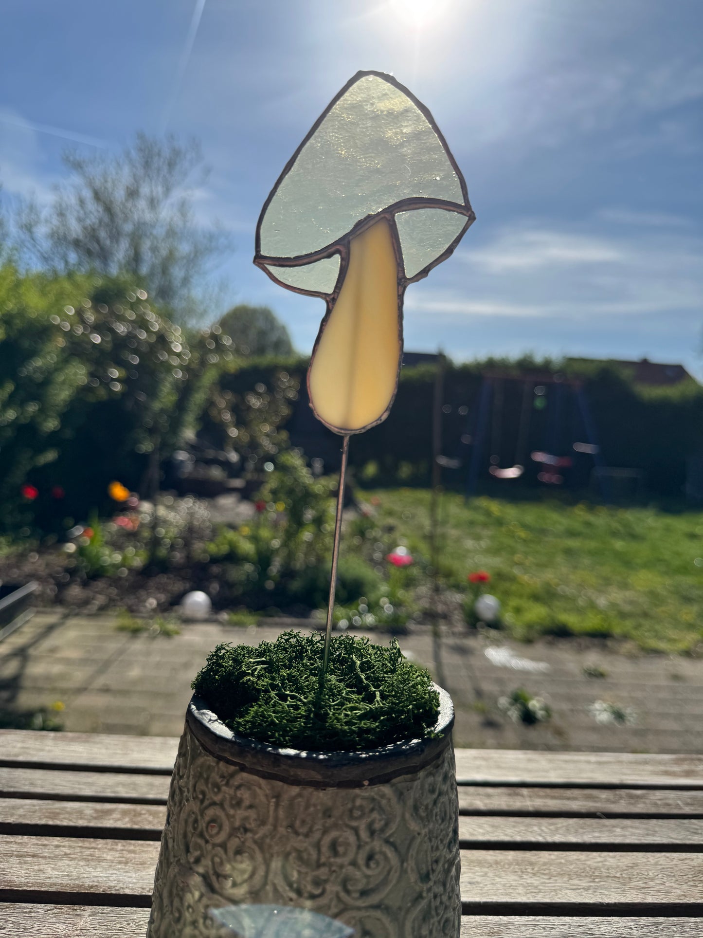 Plantensteker paddenstoel - verschillende kleuren