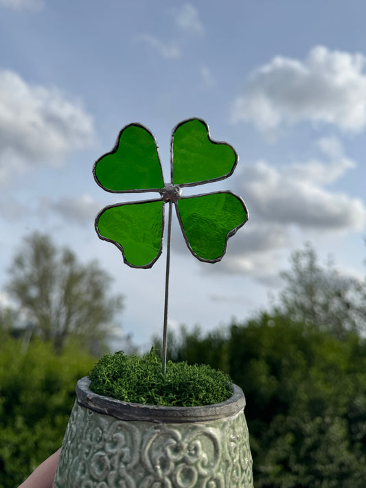 Plantensteker klavertje vier