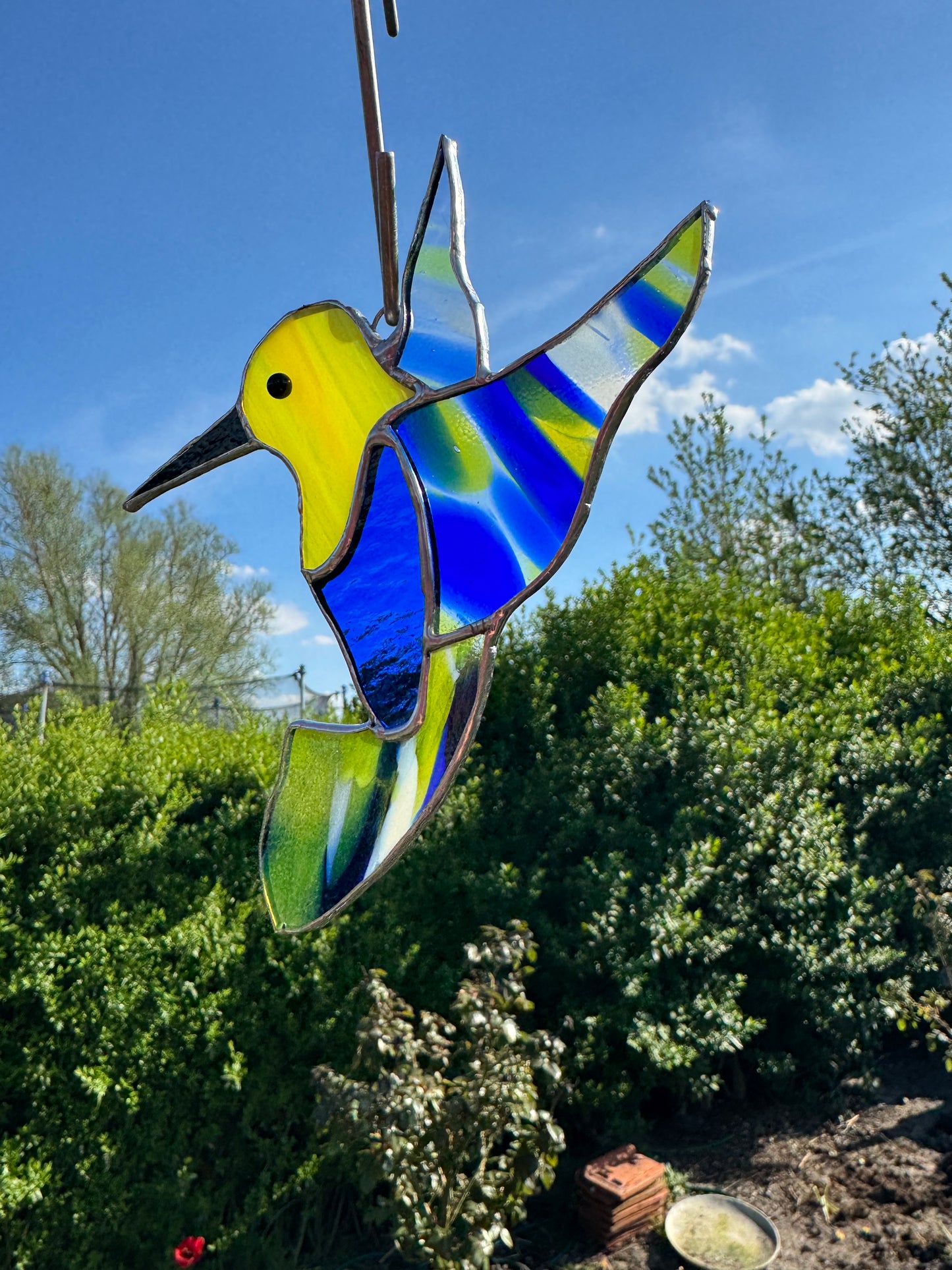 Glashanger vogeltje - verschillende kleuren