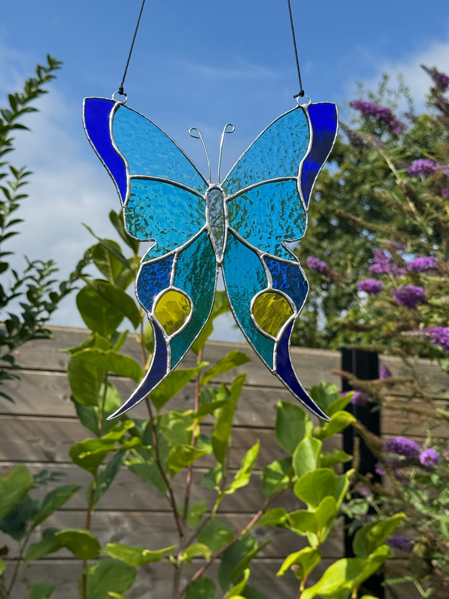 Glashanger vlinder